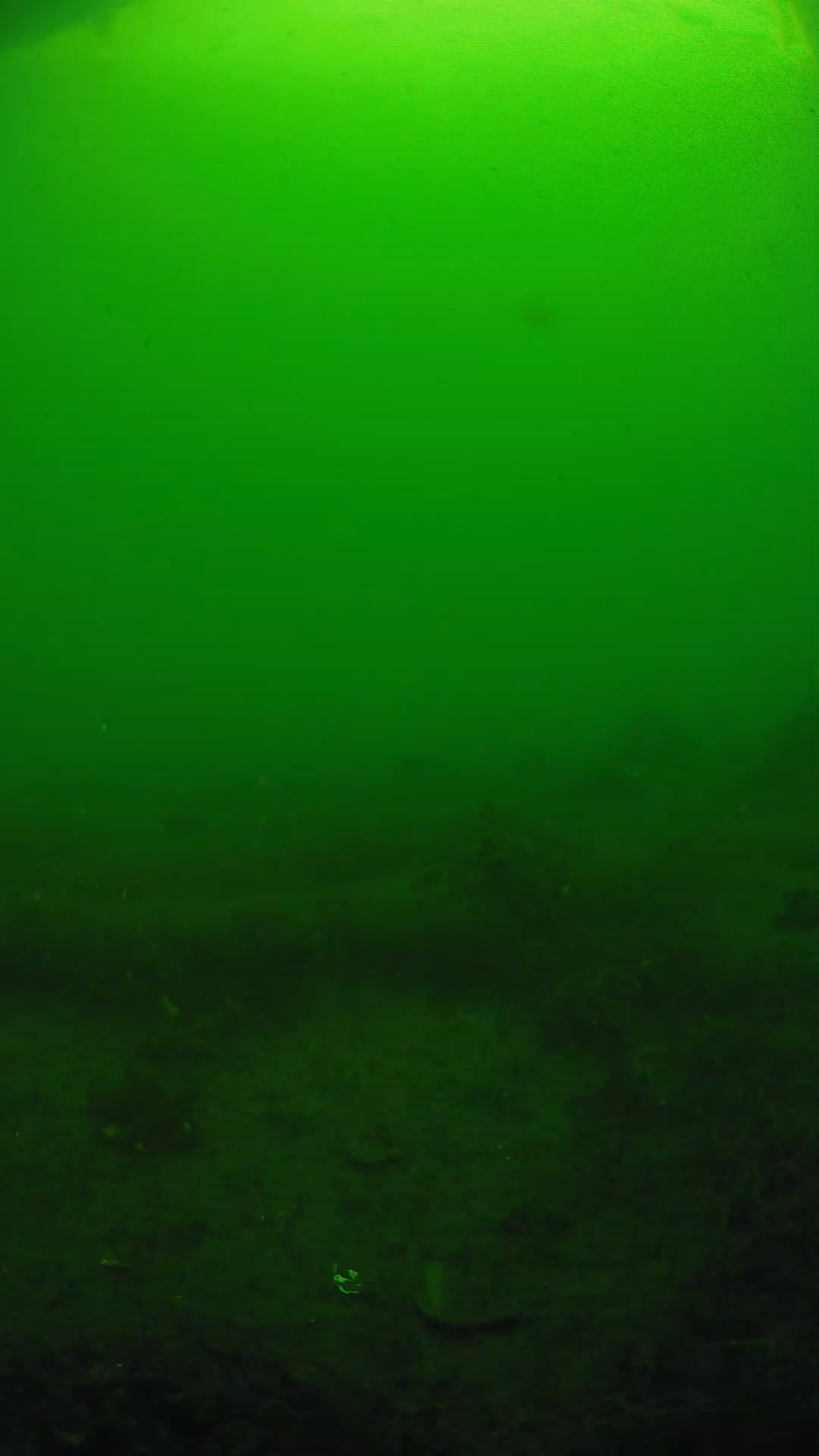 lander_ipcam_20250605083156.png
