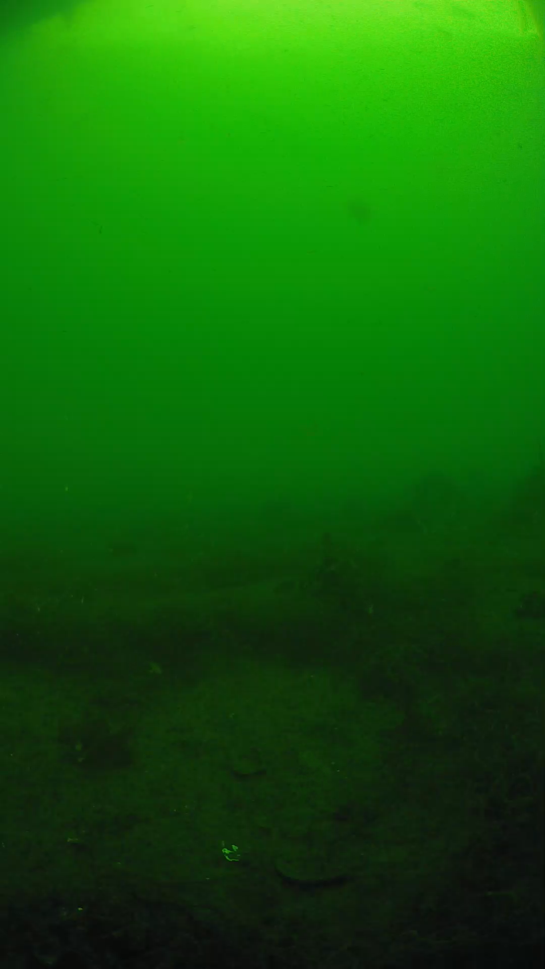 lander_ipcam_20250605083157.png