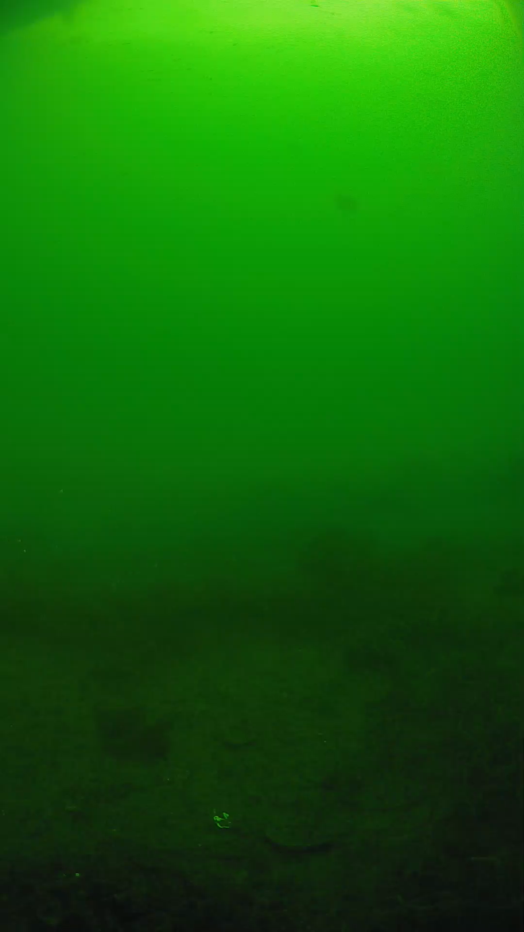 lander_ipcam_20250605084611.png
