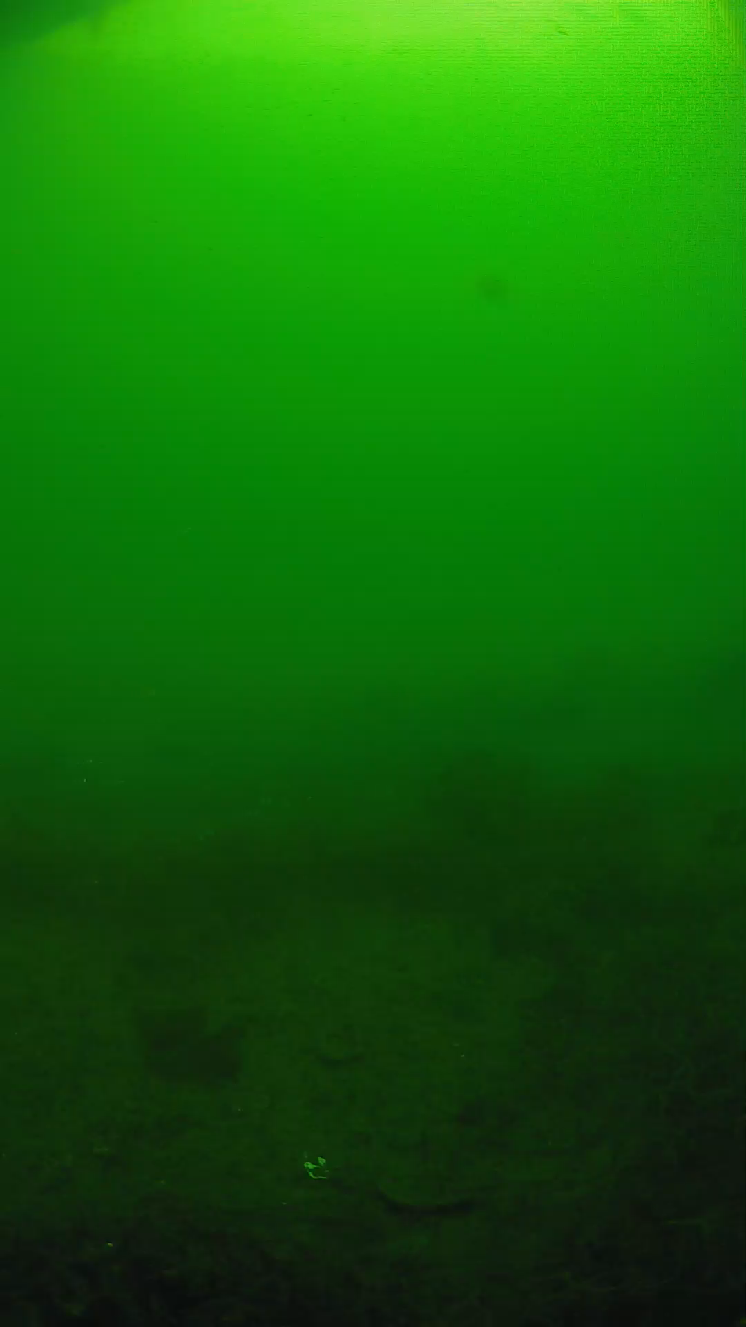 lander_ipcam_20250605084612.png