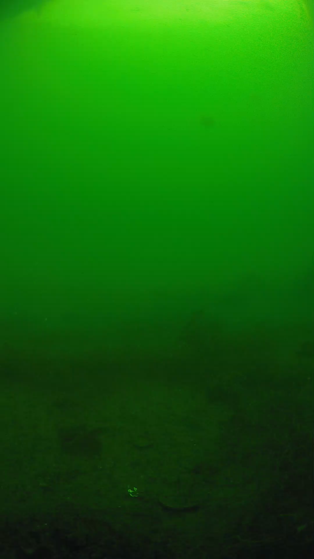 lander_ipcam_20250605084620.png