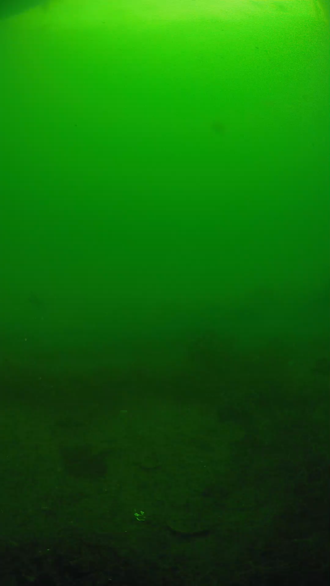 lander_ipcam_20250605084625.png