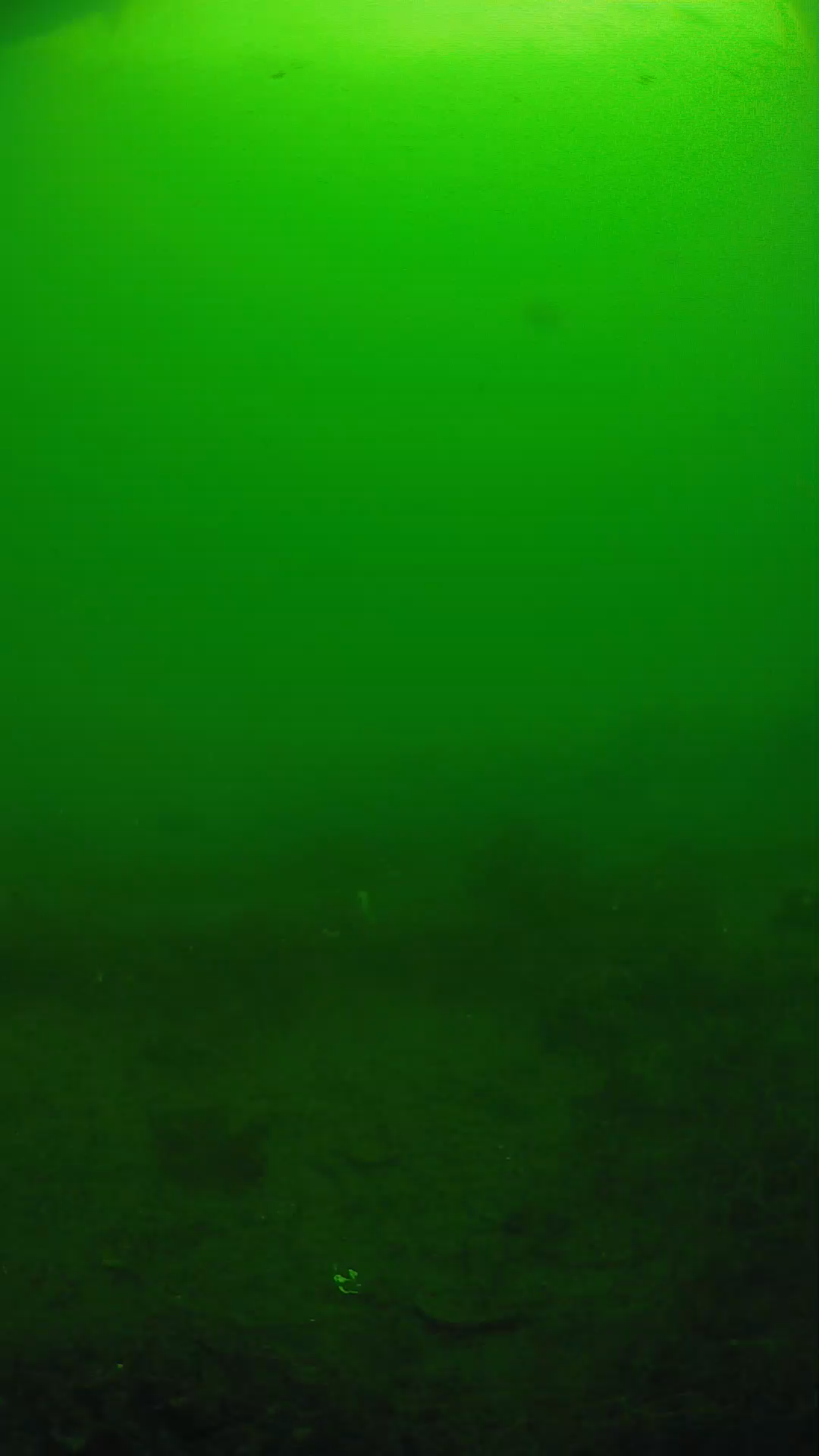 lander_ipcam_20250605084634.png