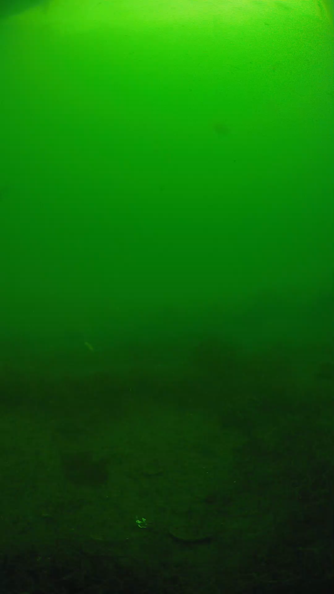 lander_ipcam_20250605084639.png