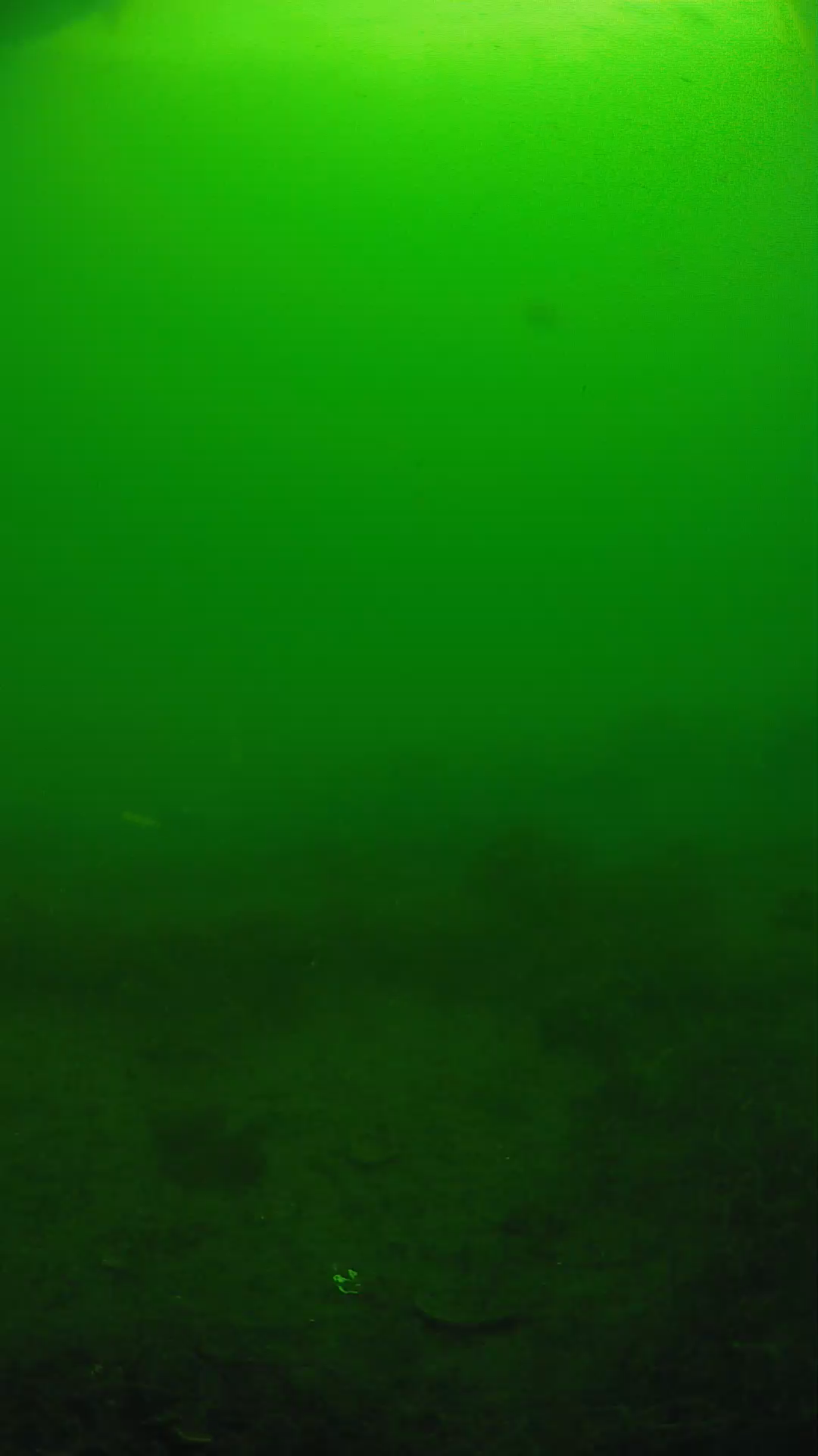 lander_ipcam_20250605084640.png