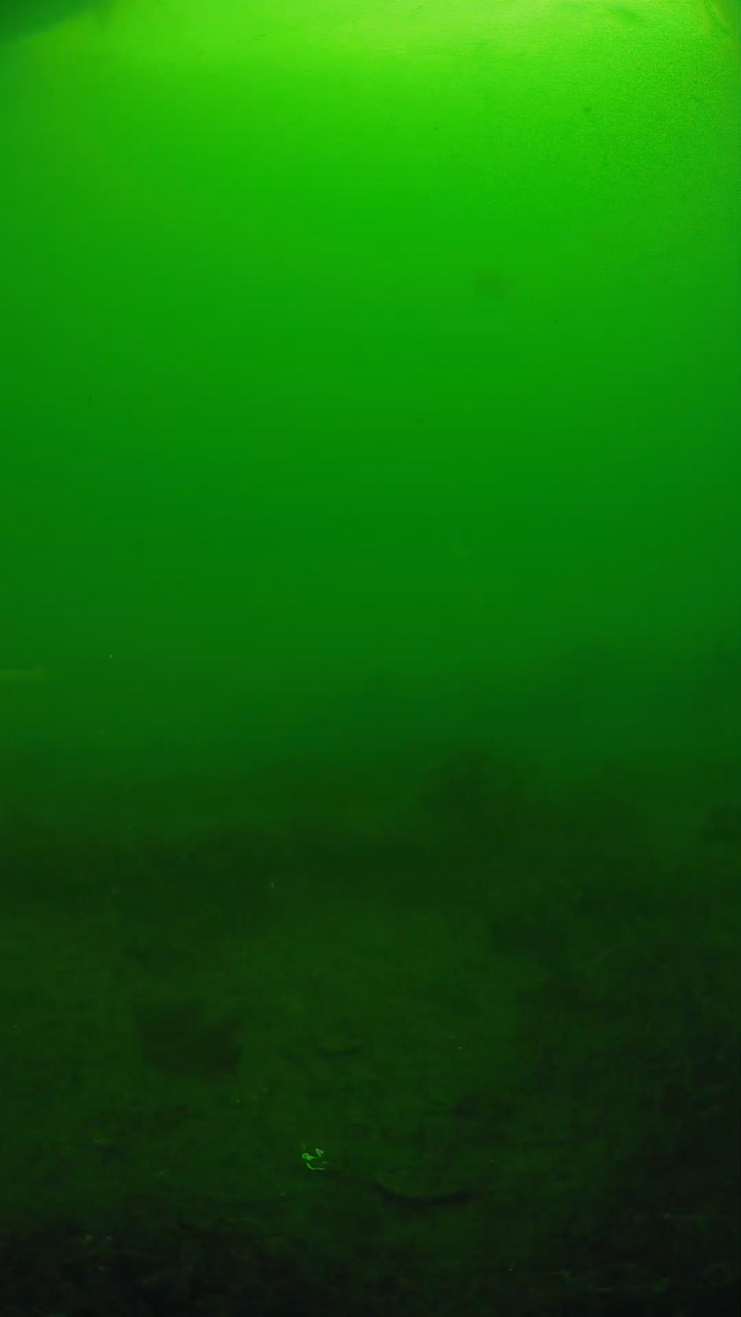 lander_ipcam_20250605084642.png
