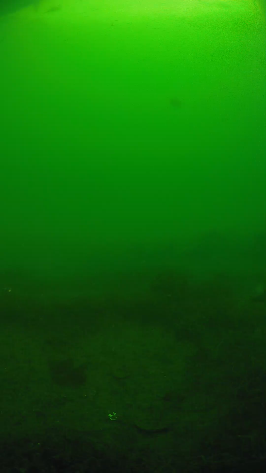 lander_ipcam_20250605084654.png