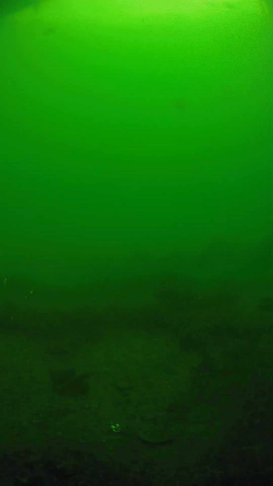 lander_ipcam_20250605084656.png
