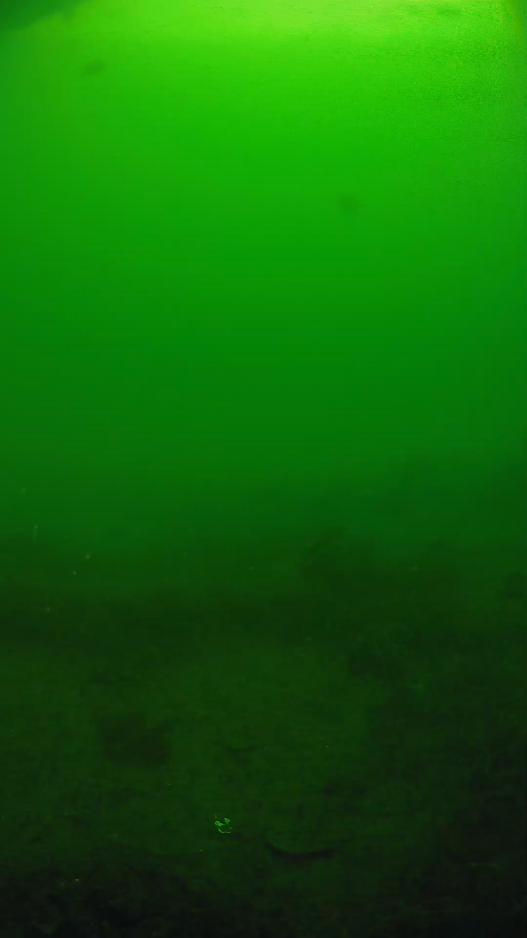 lander_ipcam_20250605084657.png