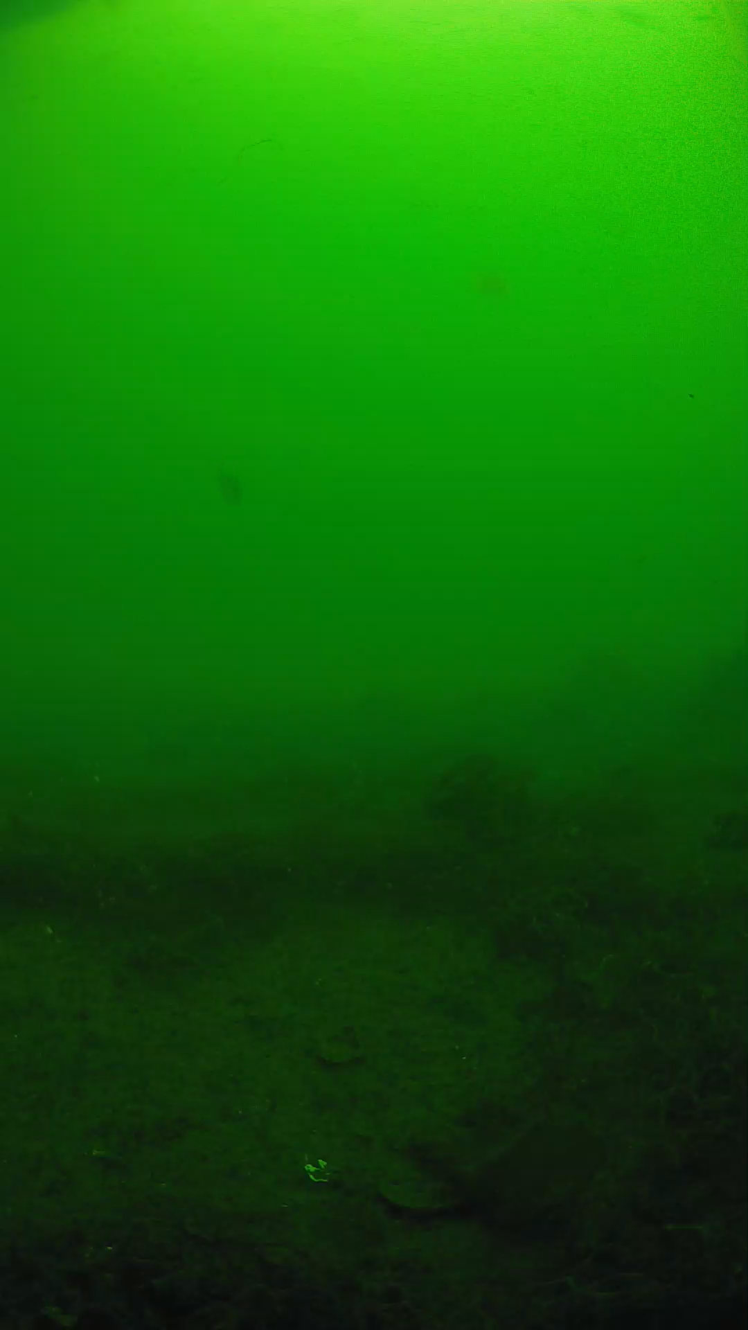 lander_ipcam_20250605090108.png