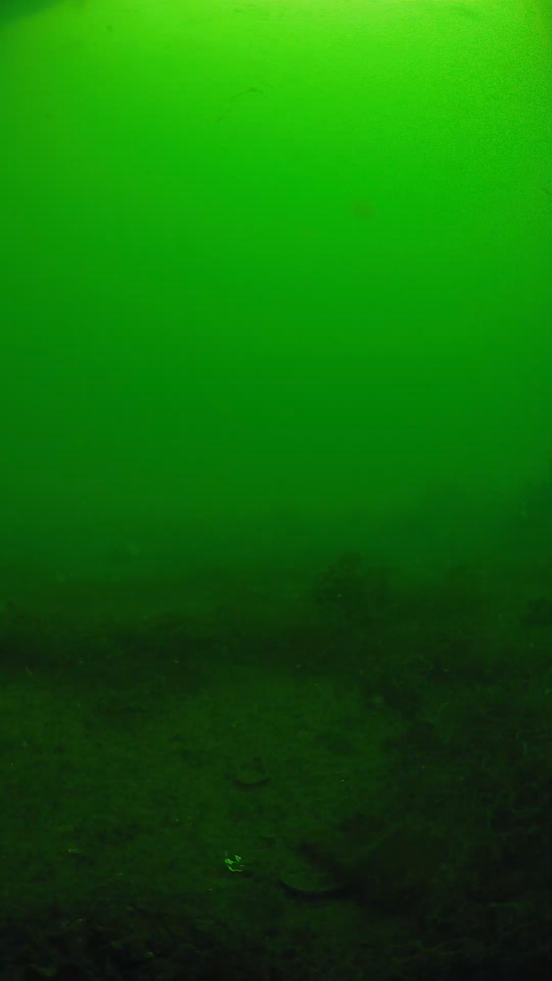 lander_ipcam_20250605090111.png