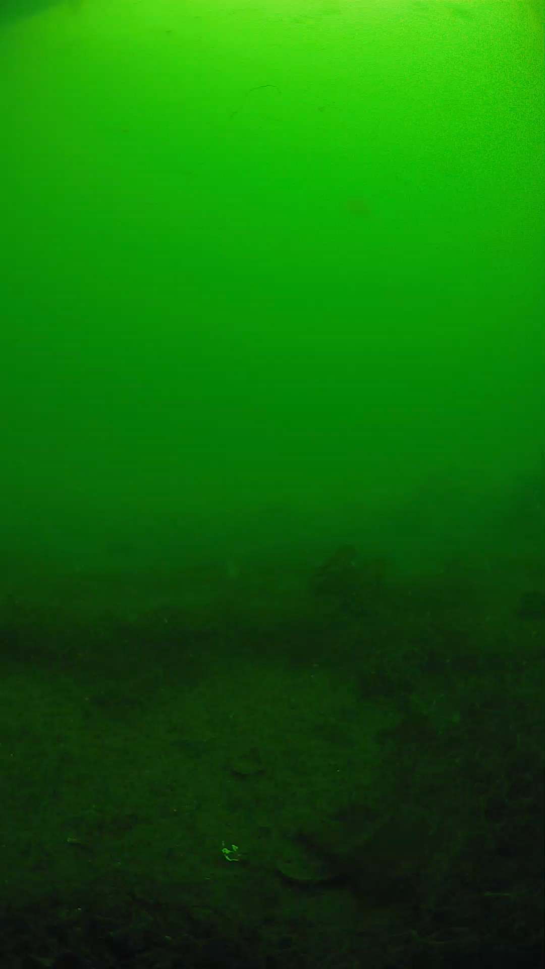 lander_ipcam_20250605090112.png