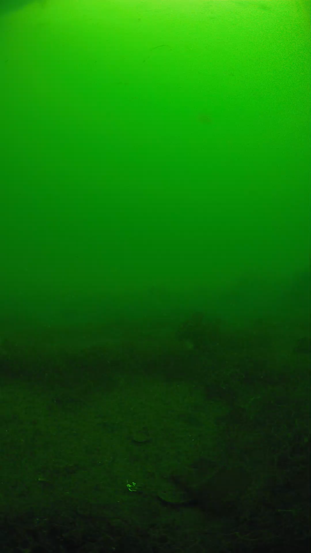 lander_ipcam_20250605090113.png