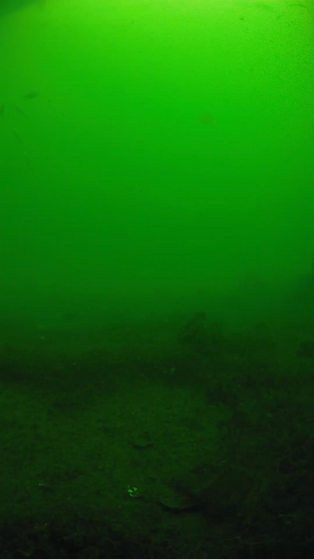 lander_ipcam_20250605090124.png
