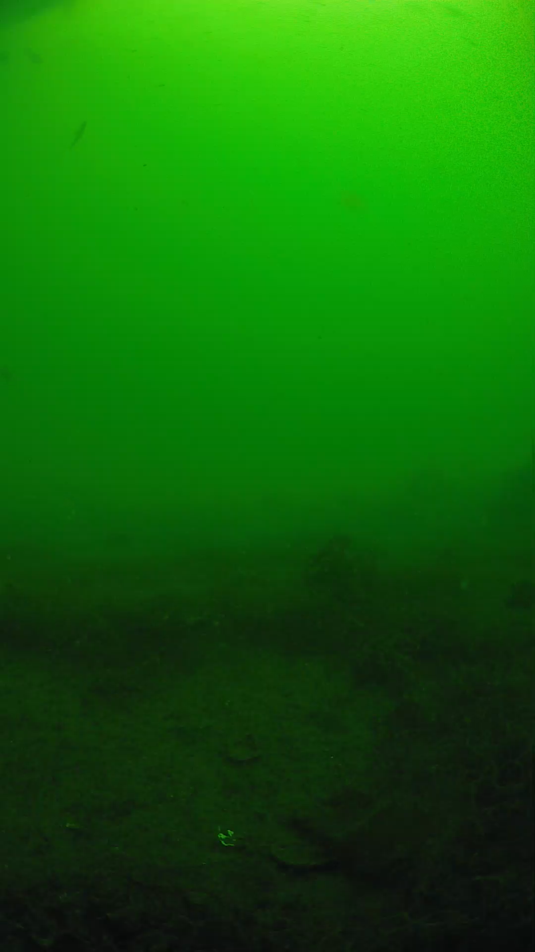 lander_ipcam_20250605090127.png