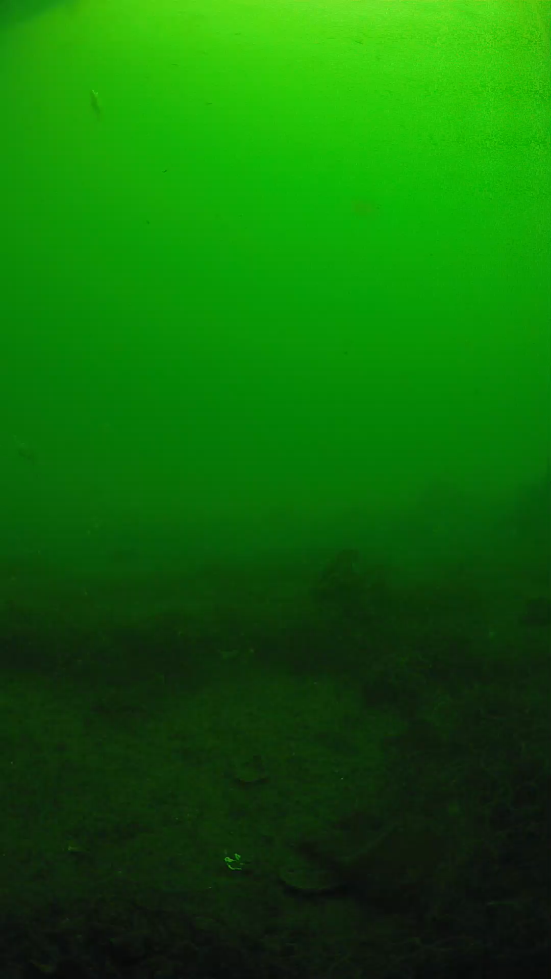lander_ipcam_20250605090128.png