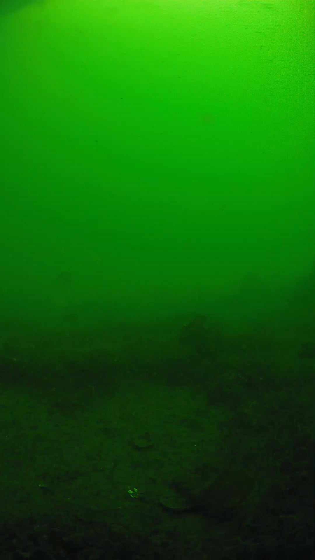 lander_ipcam_20250605090131.png