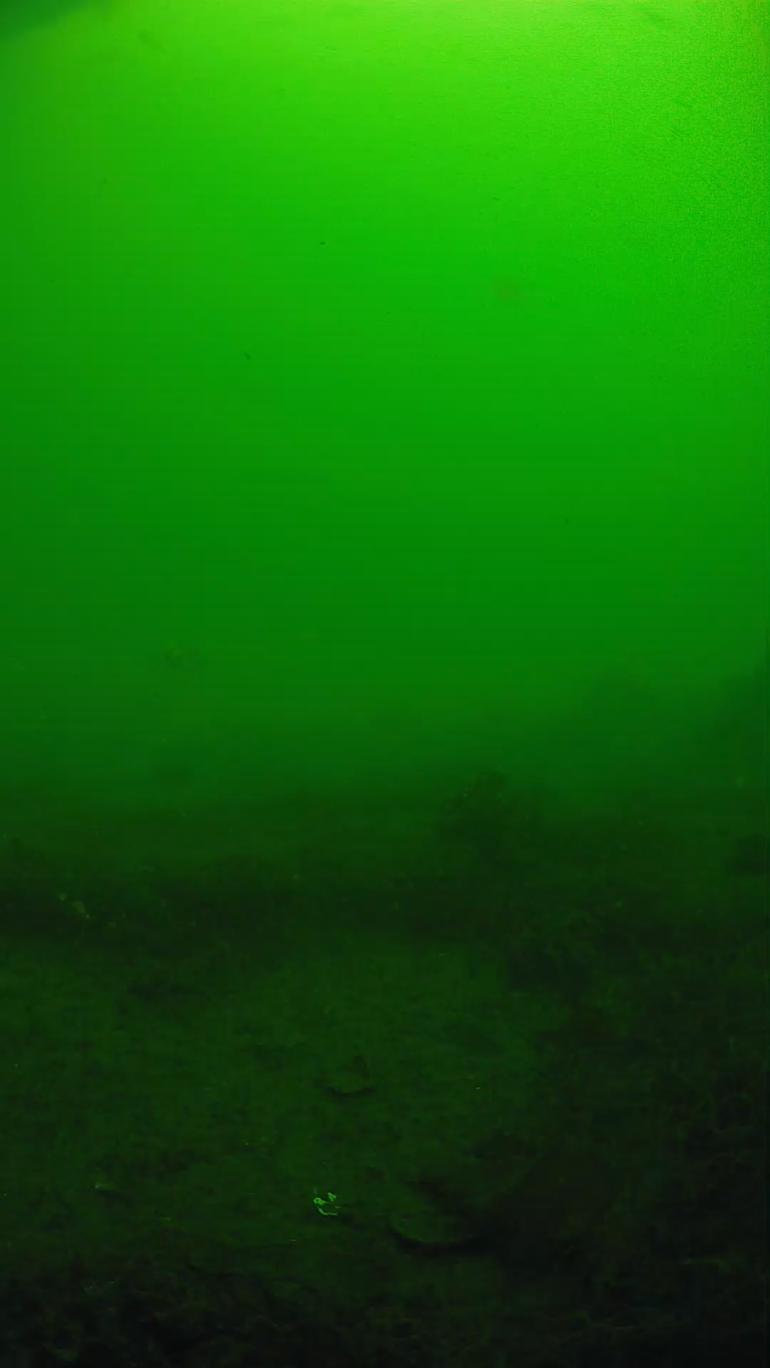 lander_ipcam_20250605090132.png