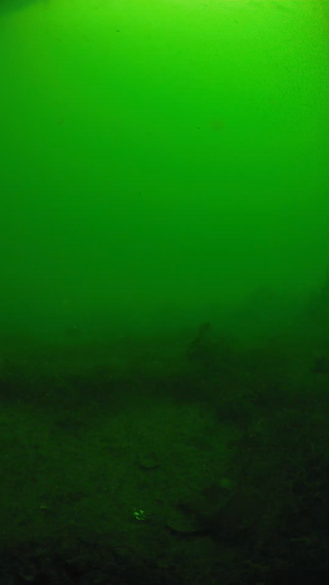 lander_ipcam_20250605090138.png