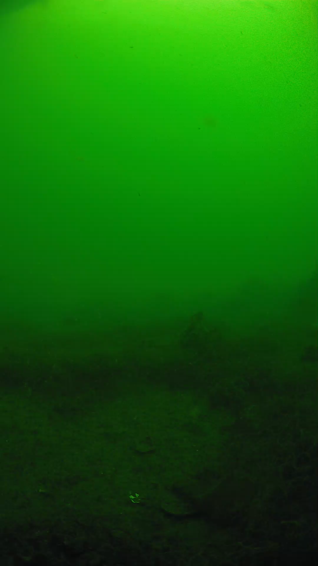 lander_ipcam_20250605090139.png