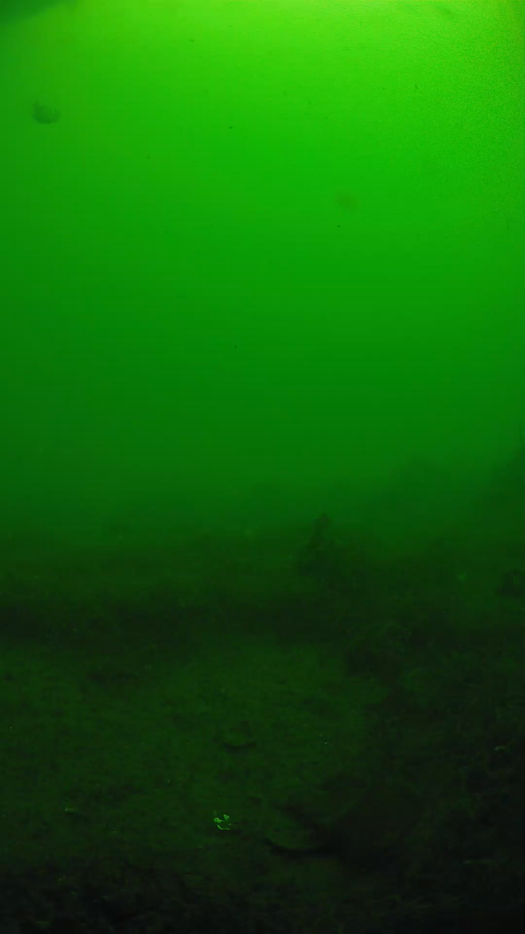 lander_ipcam_20250605090141.png