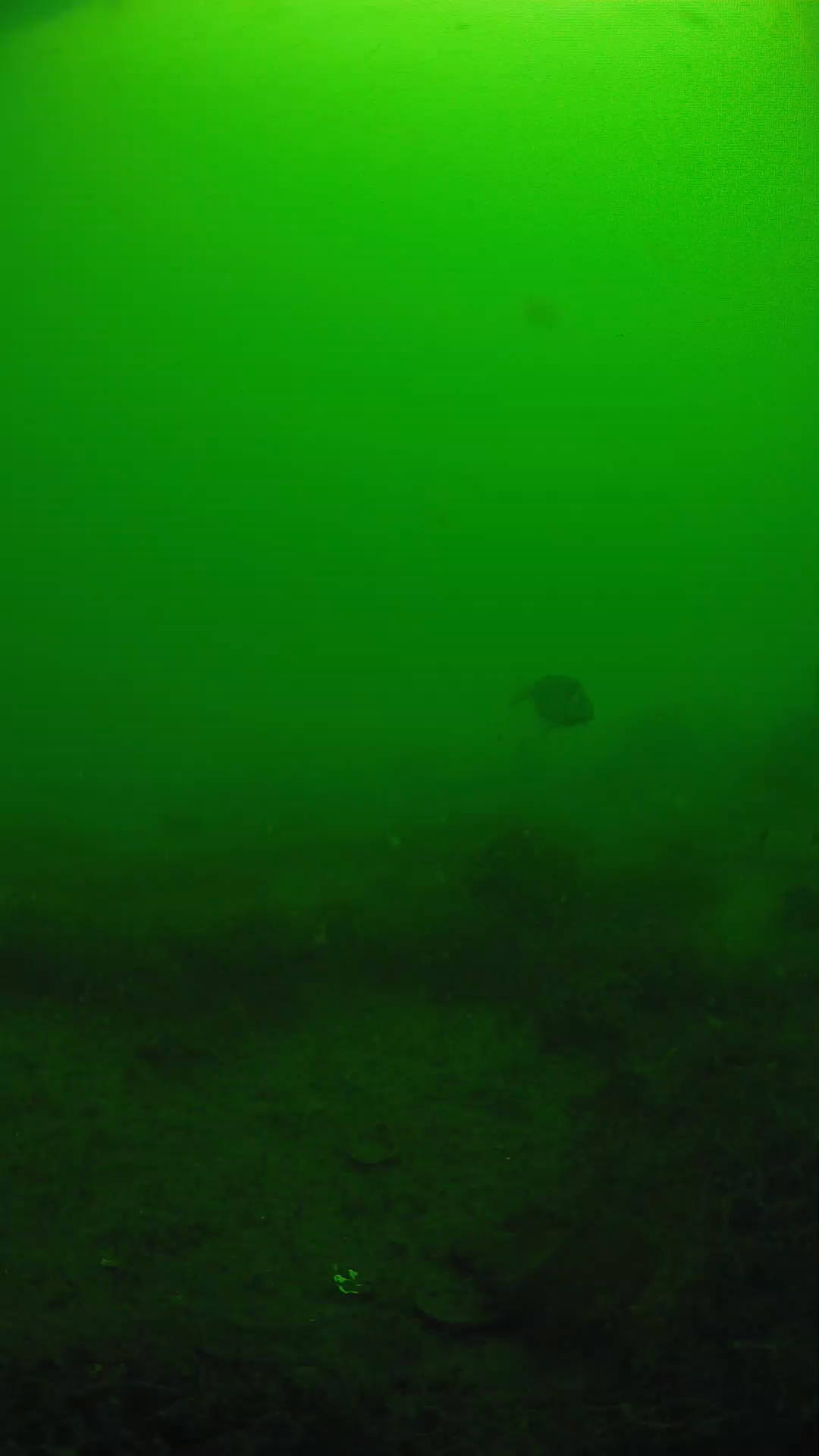 lander_ipcam_20250605090153.png