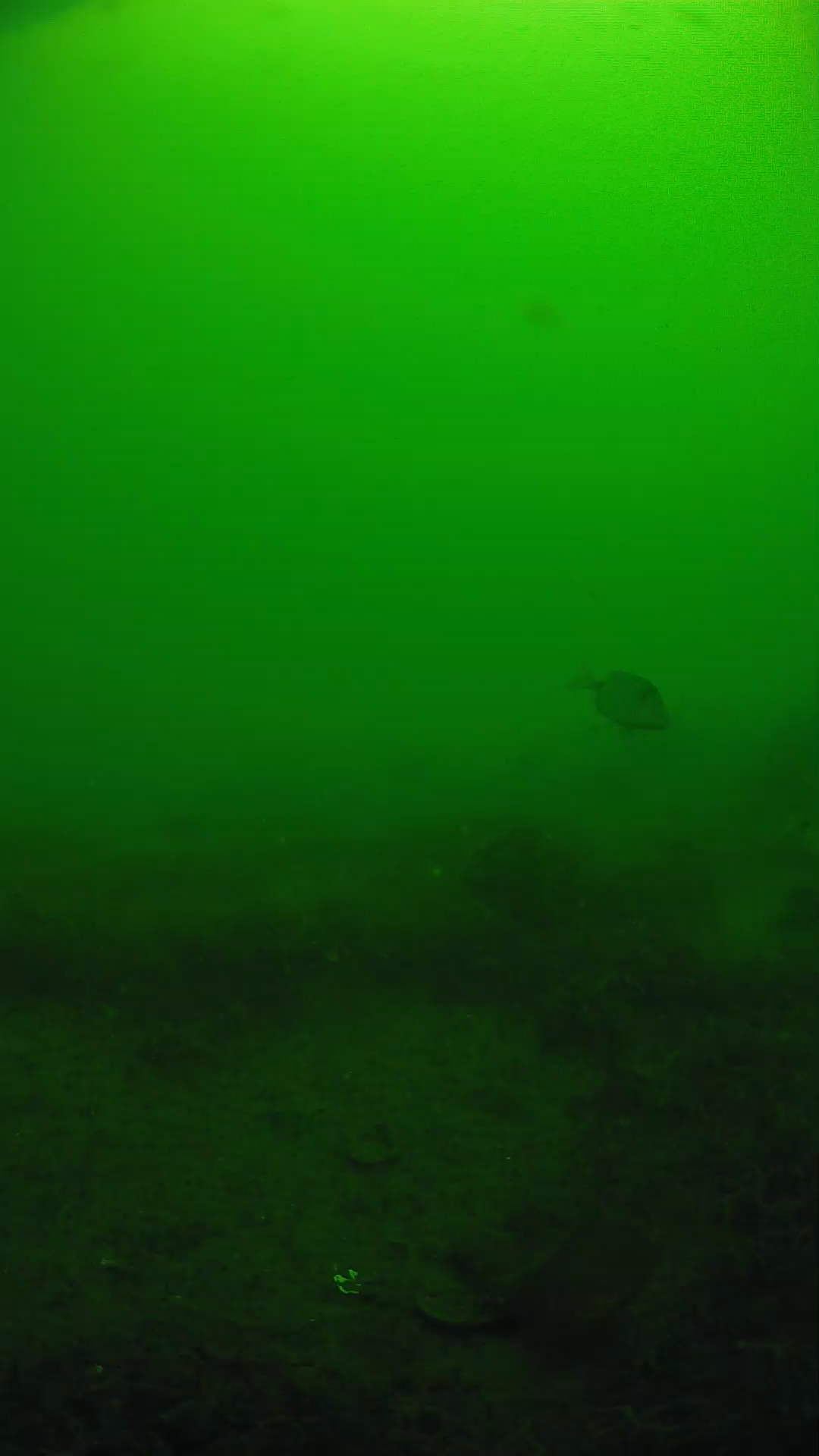 lander_ipcam_20250605090154.png