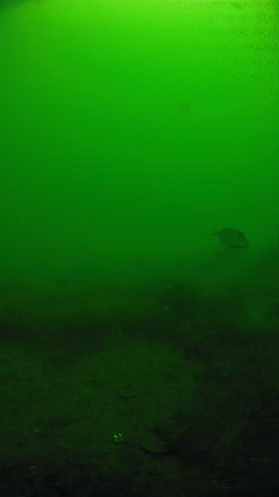 lander_ipcam_20250605090155.png