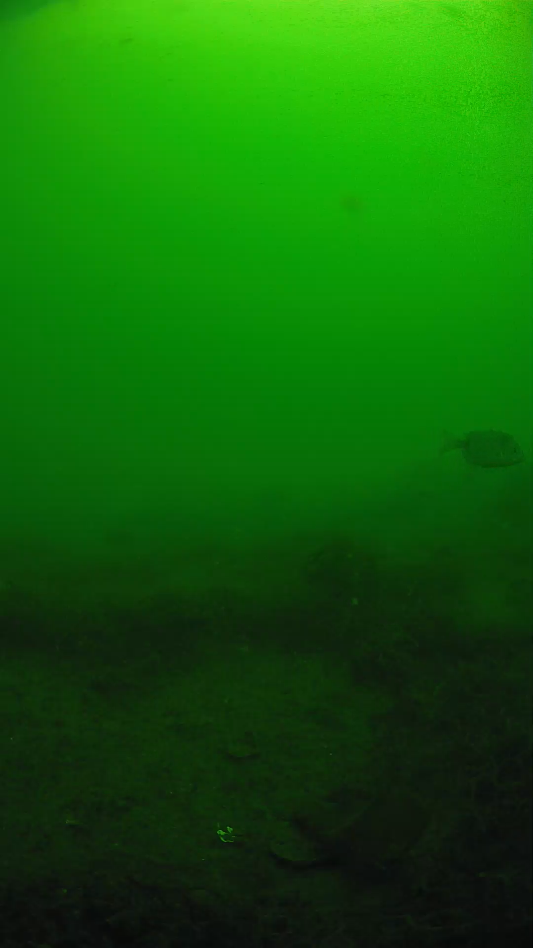 lander_ipcam_20250605090156.png