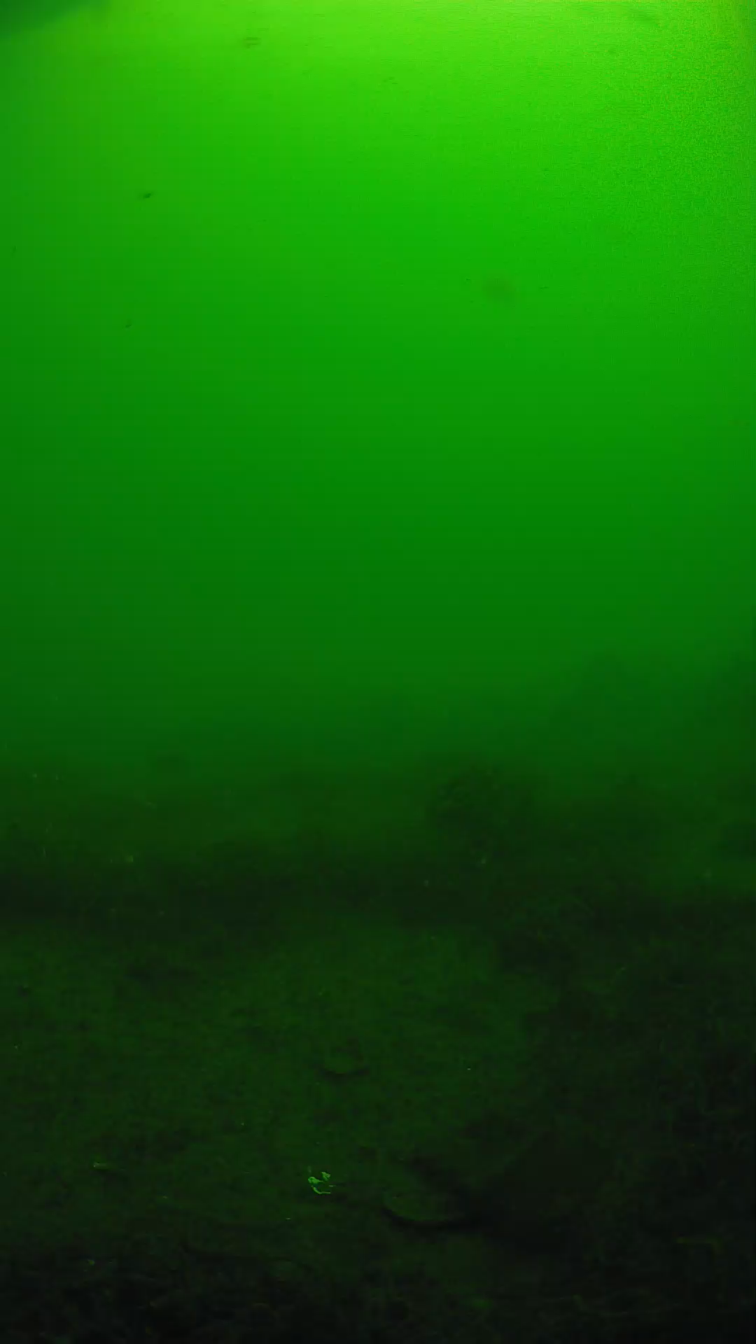 lander_ipcam_20250605090201.png