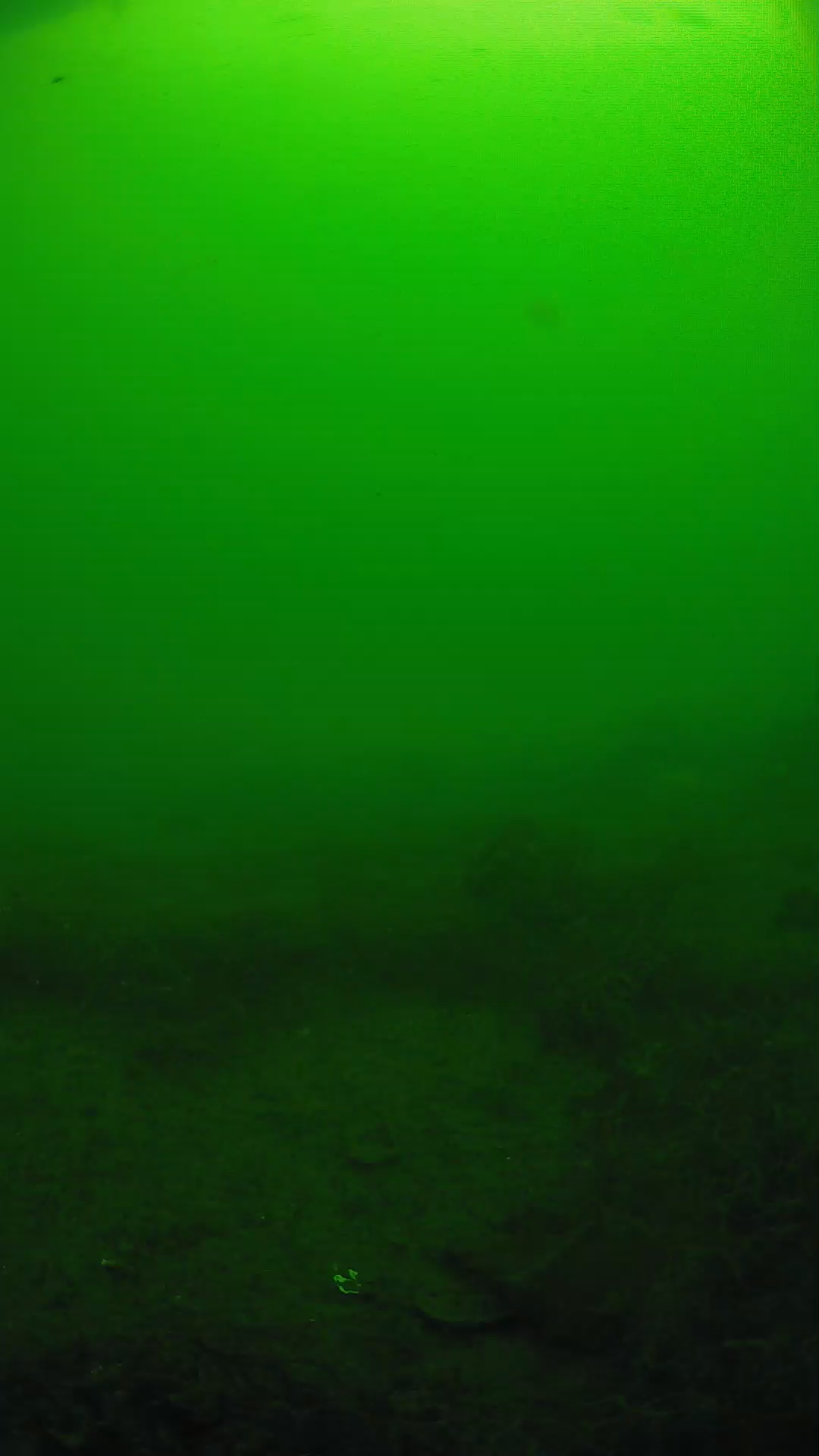lander_ipcam_20250605091607.png