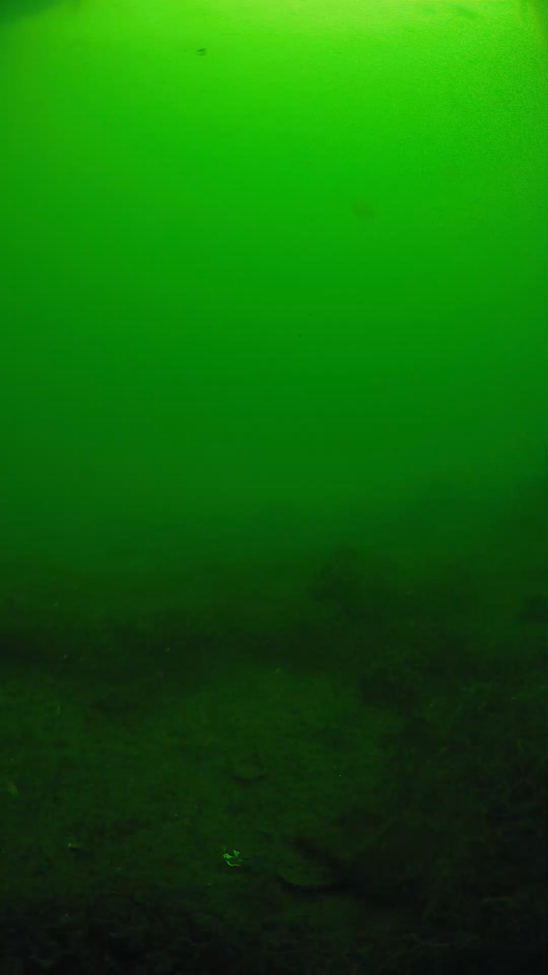 lander_ipcam_20250605091609.png