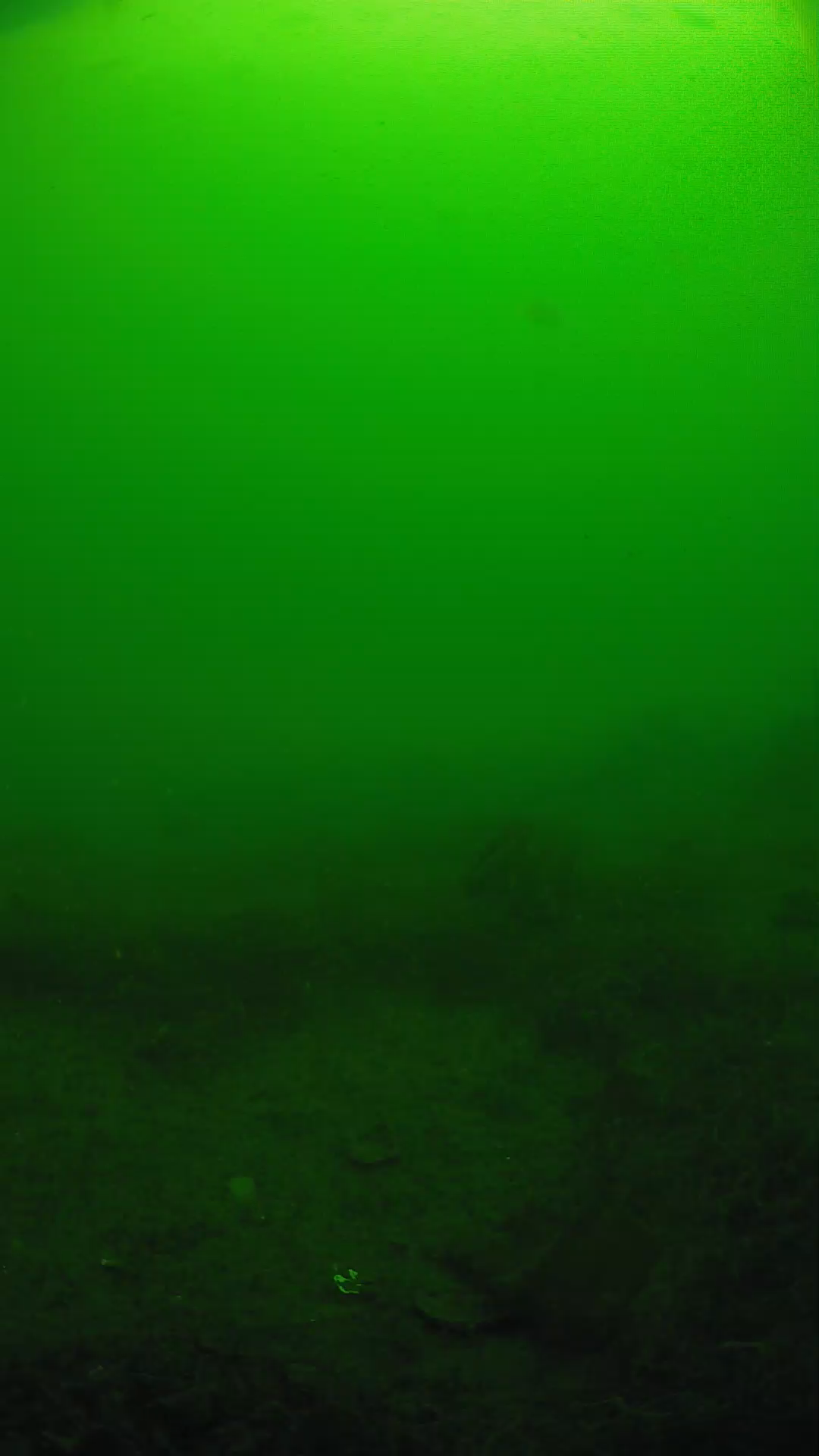 lander_ipcam_20250605091618.png