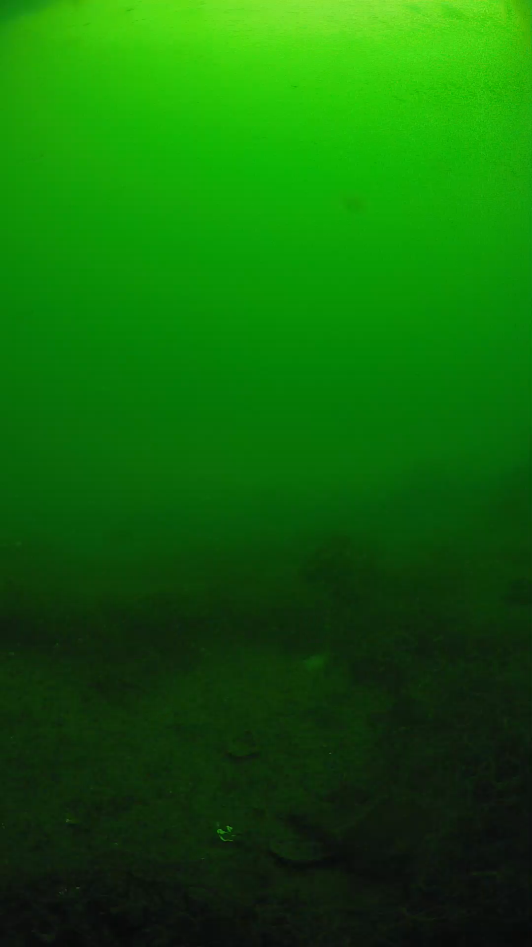 lander_ipcam_20250605091622.png