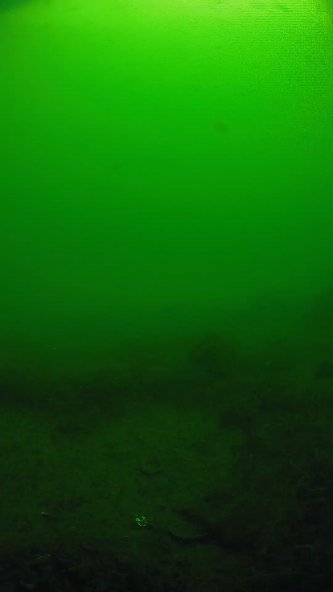 lander_ipcam_20250605091625.png