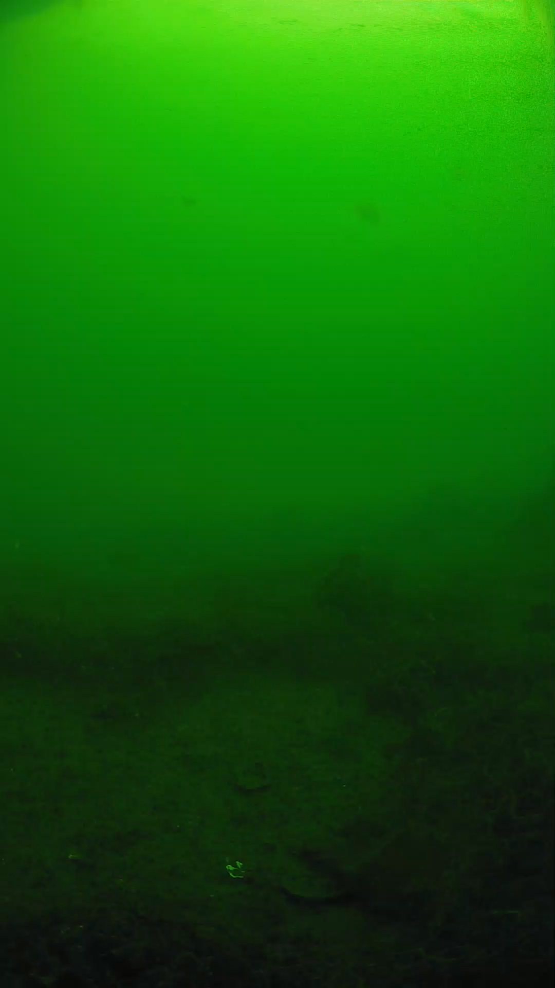 lander_ipcam_20250605091628.png