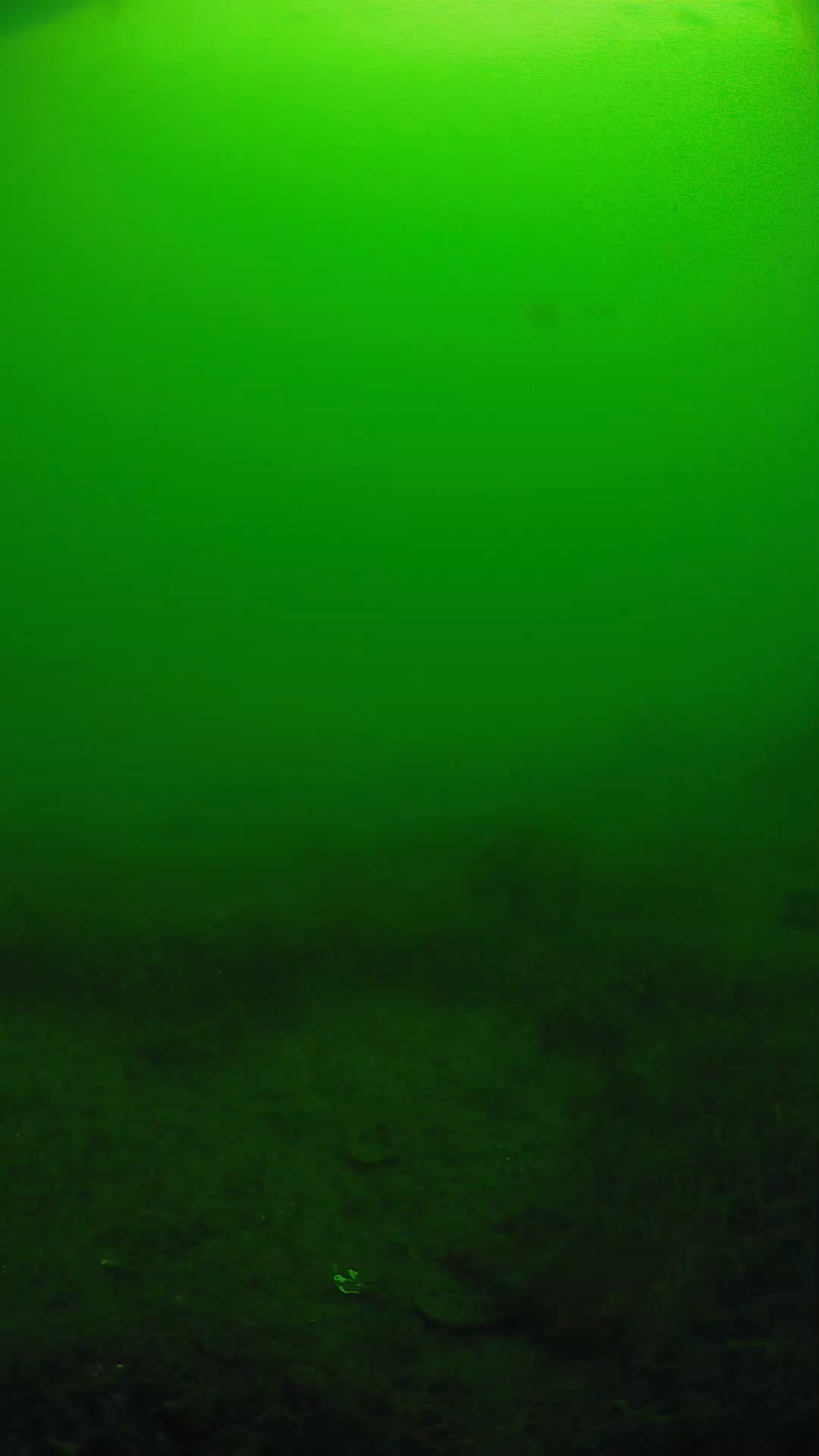 lander_ipcam_20250605091630.png