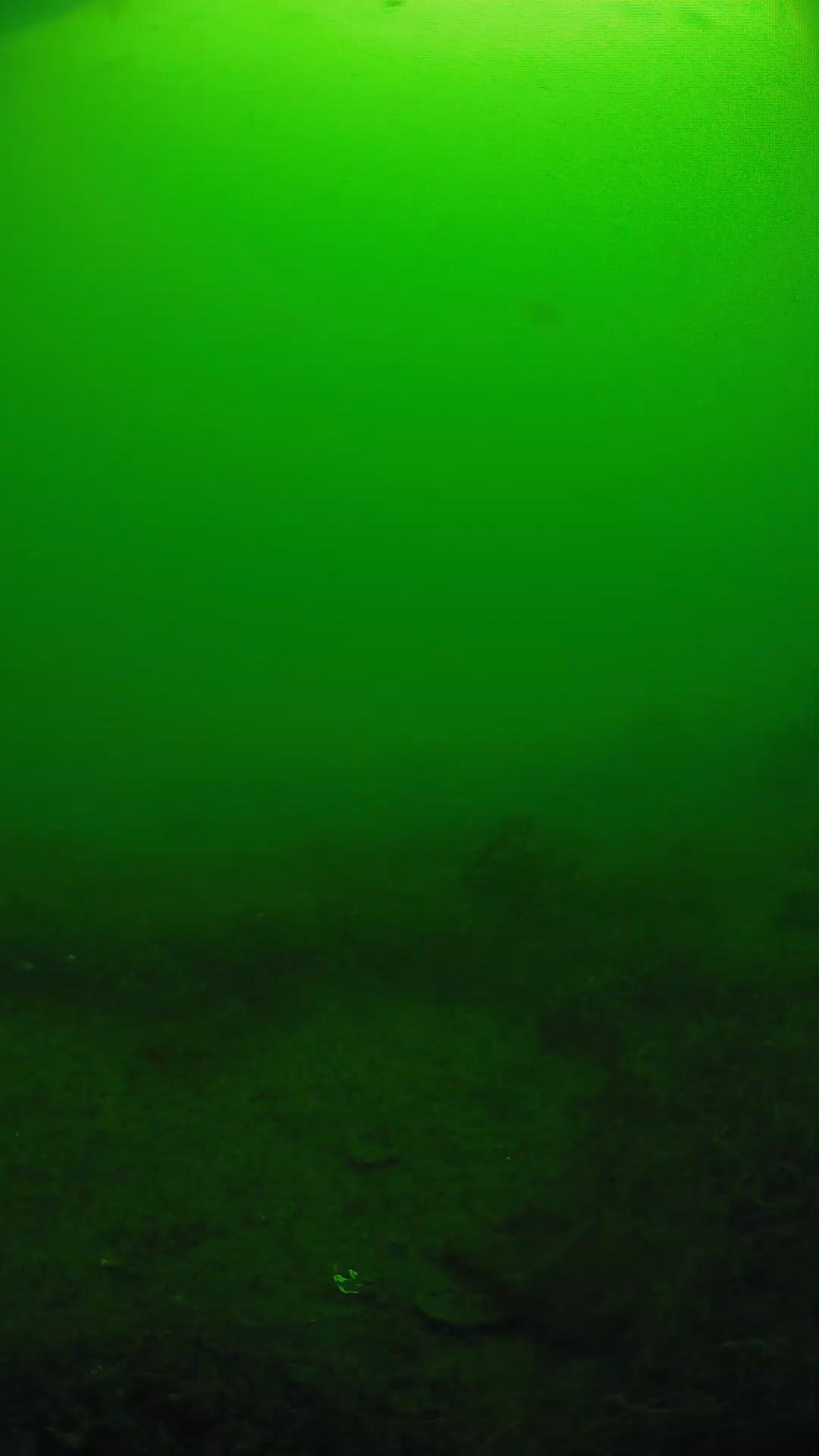 lander_ipcam_20250605091636.png