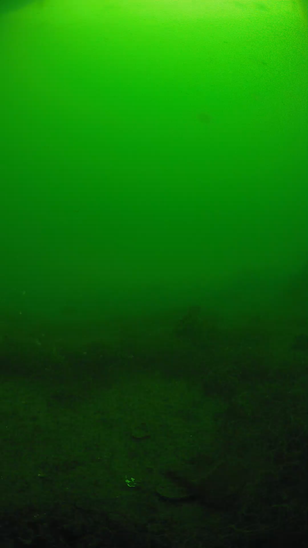 lander_ipcam_20250605091638.png