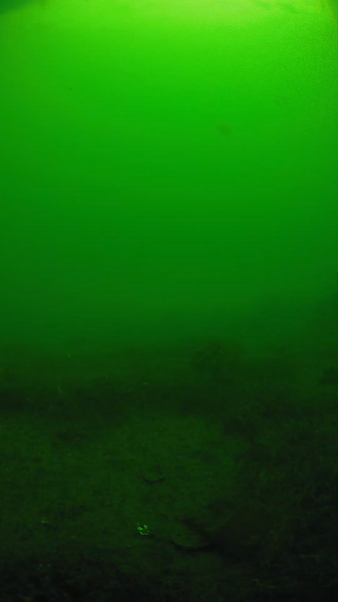 lander_ipcam_20250605091642.png