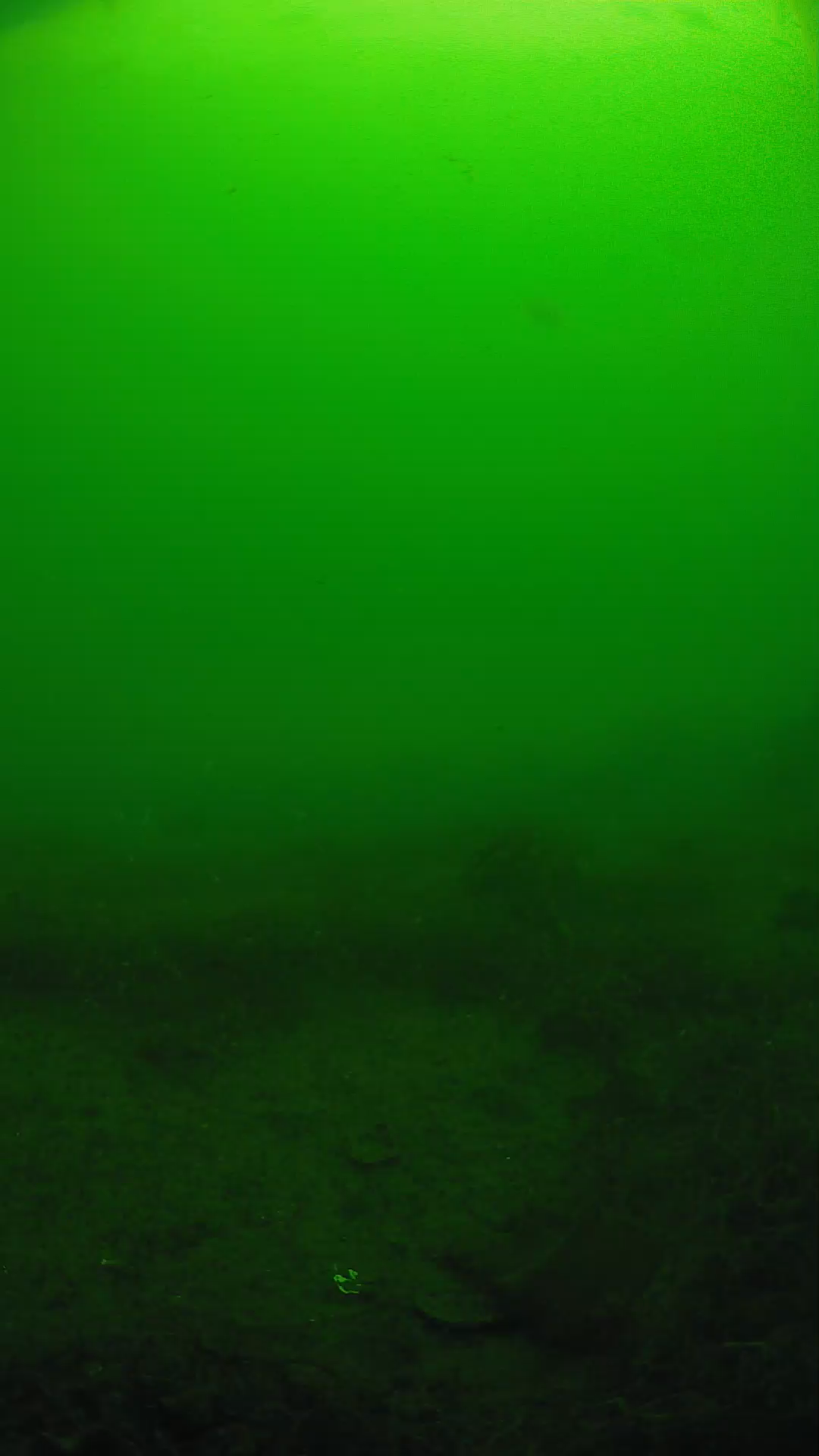 lander_ipcam_20250605091644.png