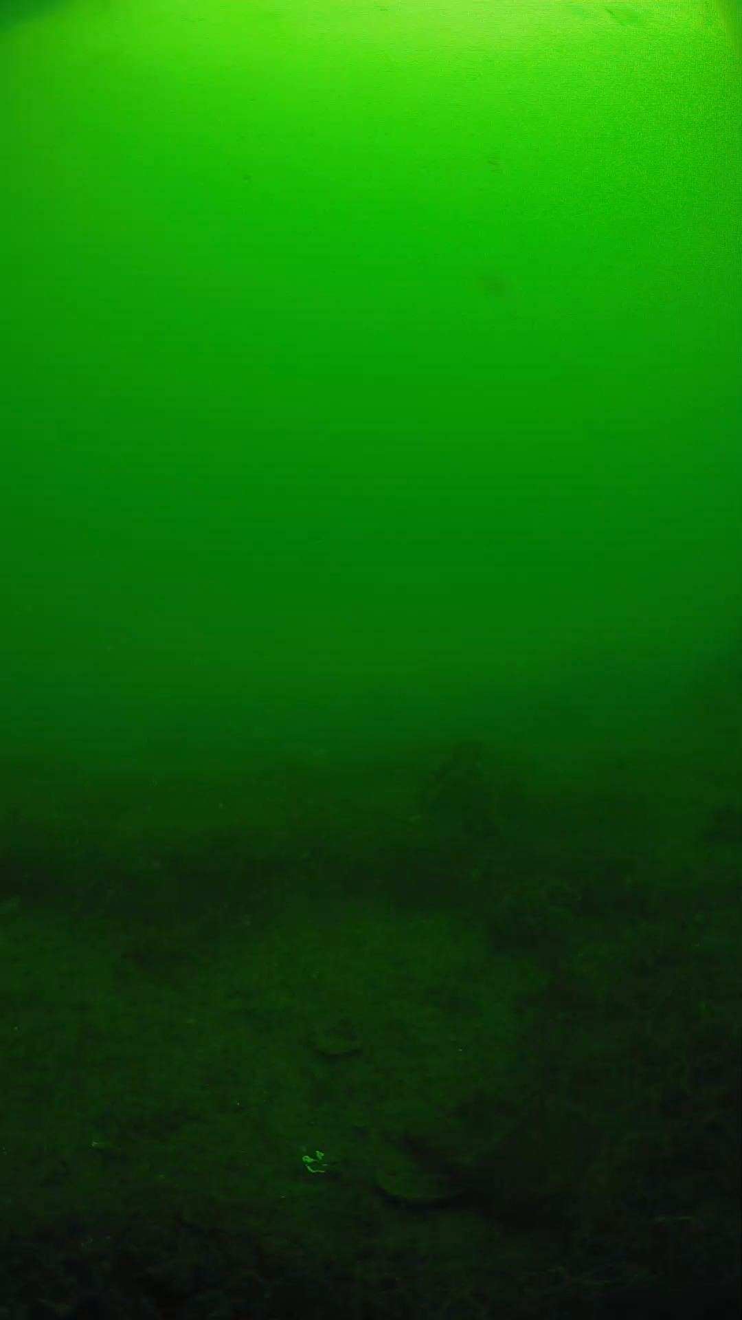 lander_ipcam_20250605091646.png