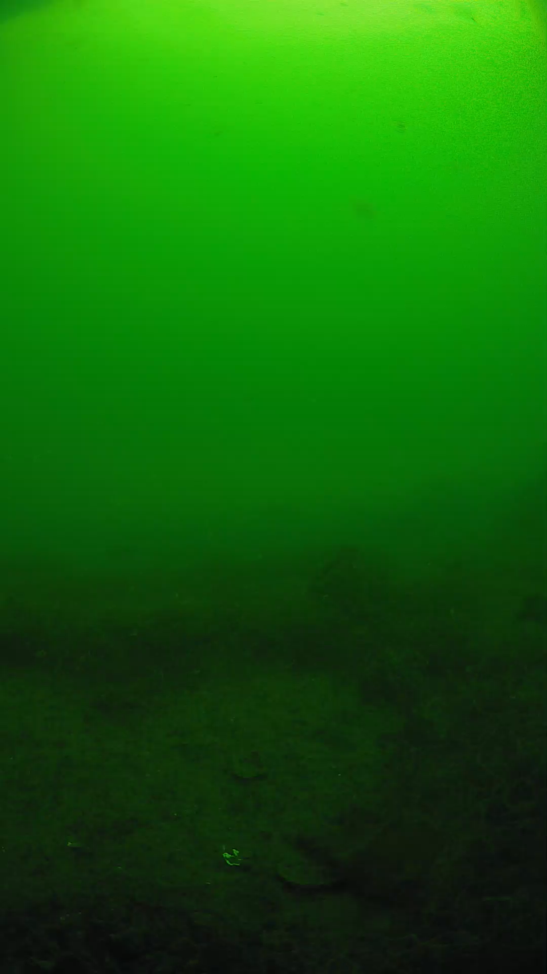 lander_ipcam_20250605091647.png