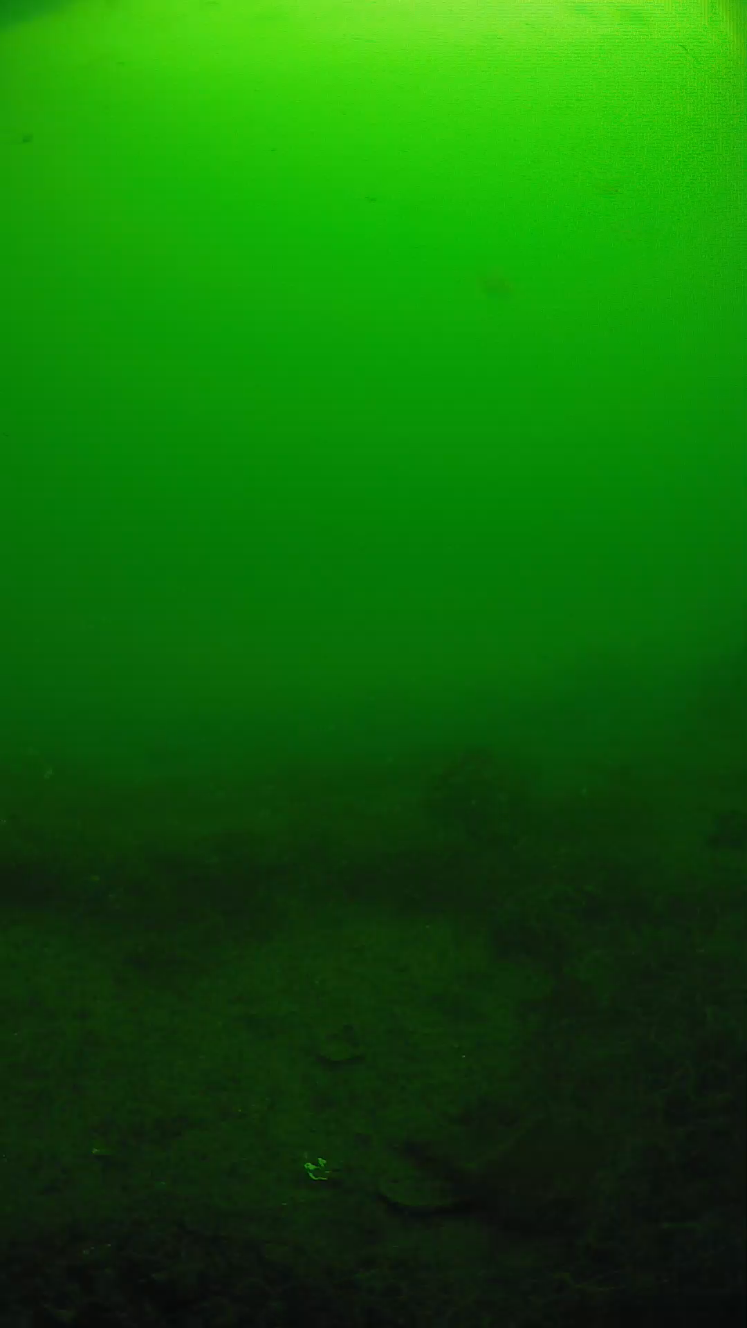 lander_ipcam_20250605091648.png