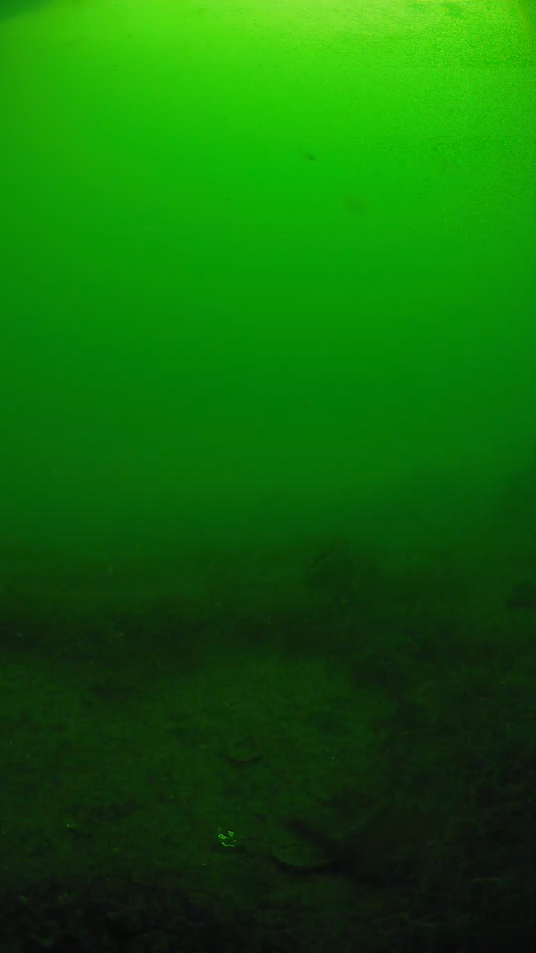 lander_ipcam_20250605091650.png