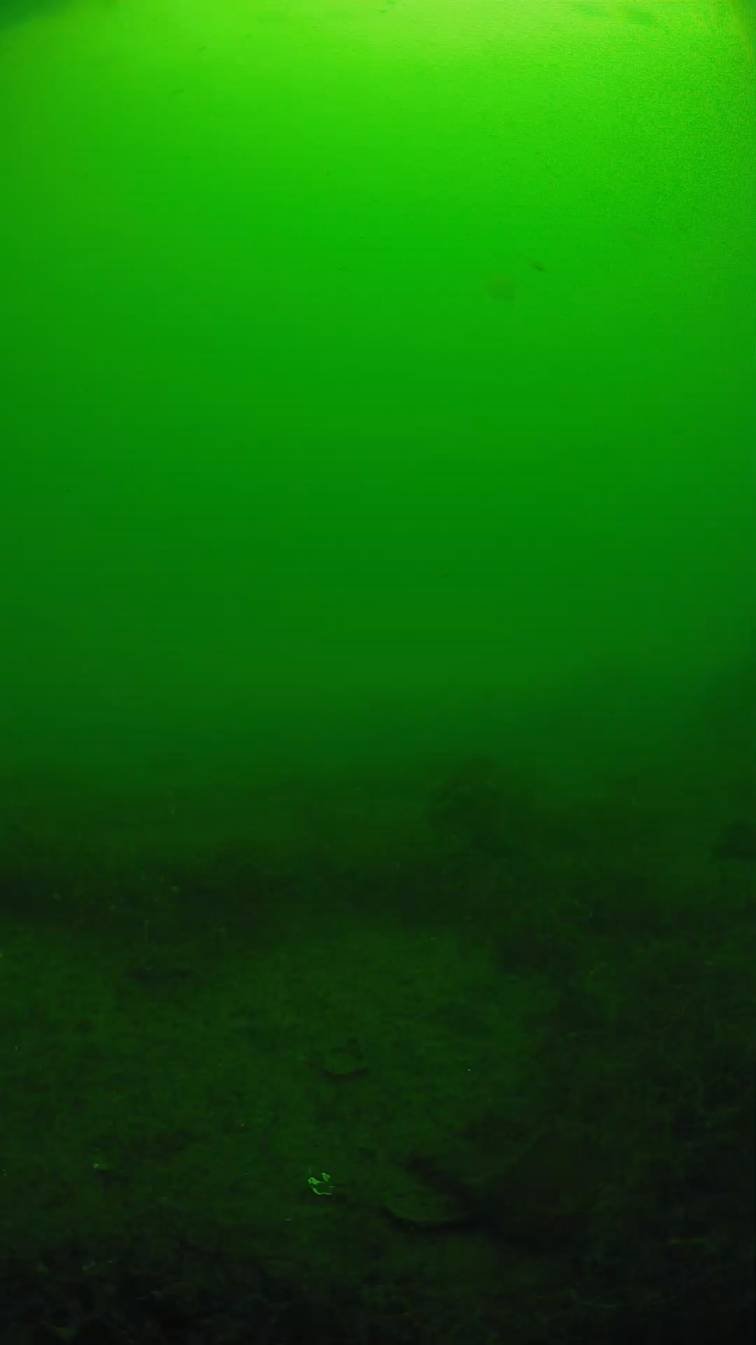 lander_ipcam_20250605091652.png