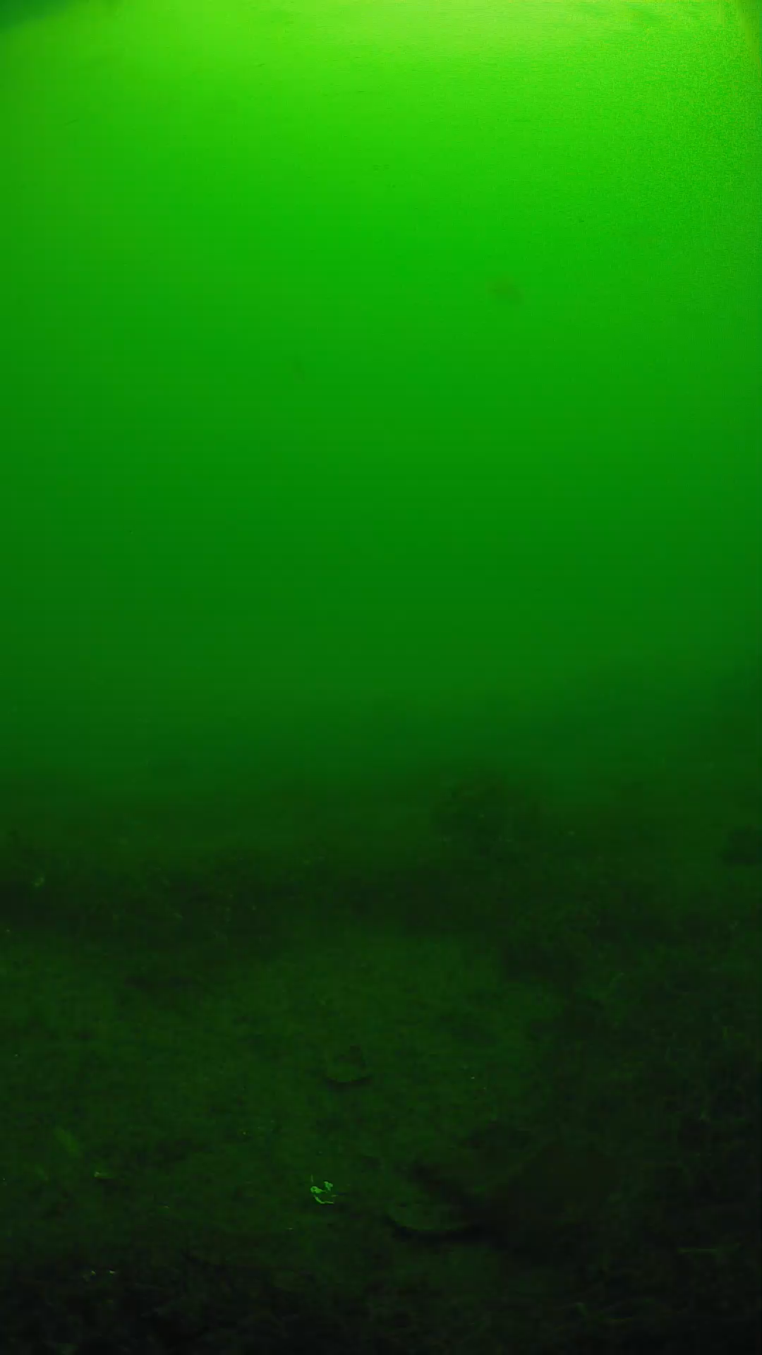 lander_ipcam_20250605091655.png