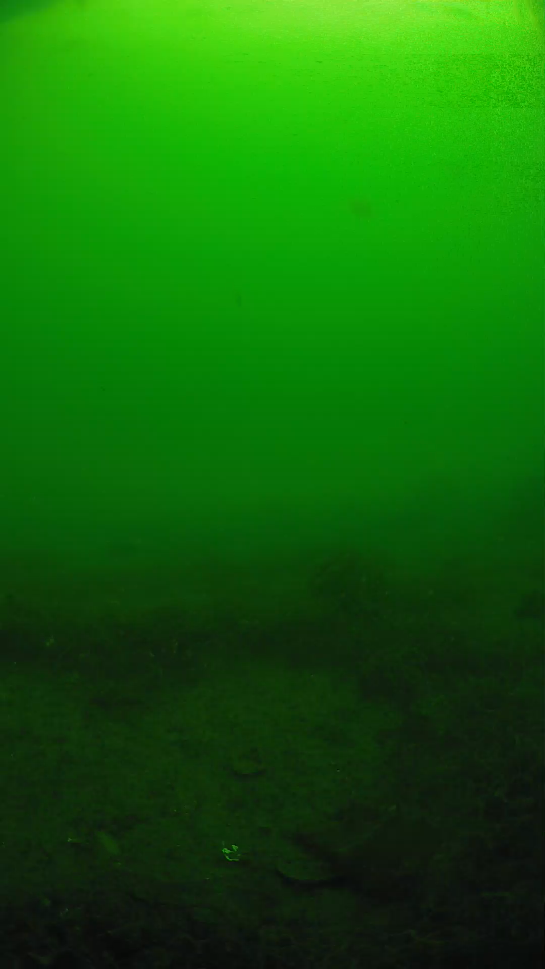 lander_ipcam_20250605091656.png
