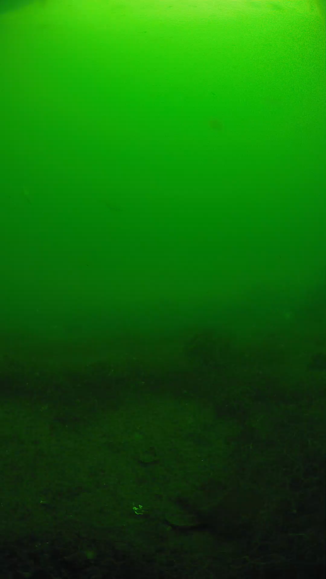 lander_ipcam_20250605091701.png