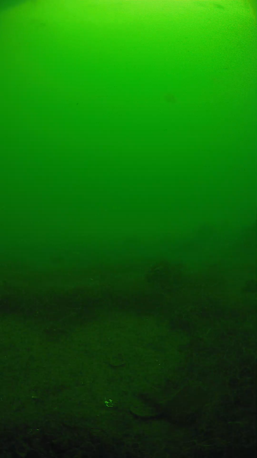 lander_ipcam_20250605093121.png
